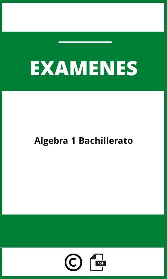 Examen Algebra 1 Bachillerato Pdf 2024 1084