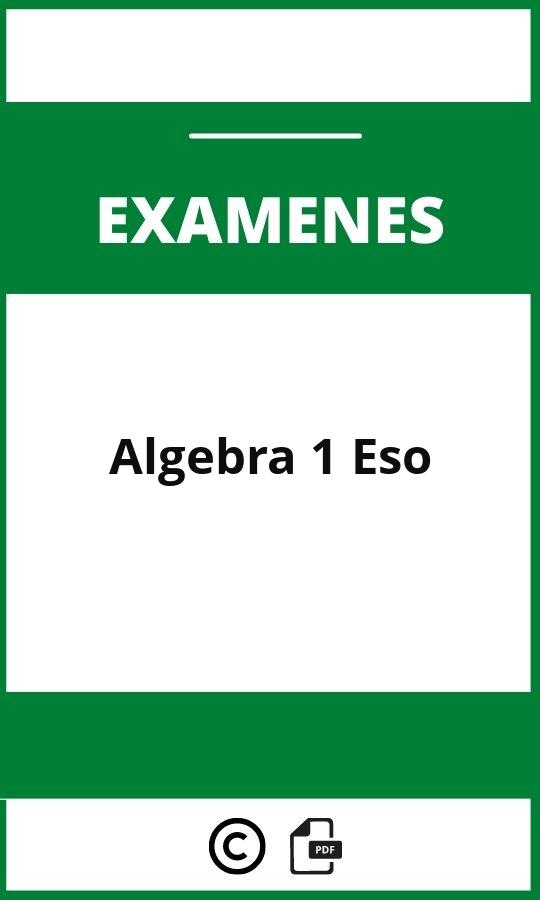 Examen Algebra 1 Eso Pdf
