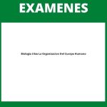 Examen Biologia 3 Eso La Organizacion Del Cuerpo Humano Pdf