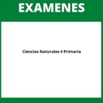 Examen Ciencias Naturales 4 Primaria