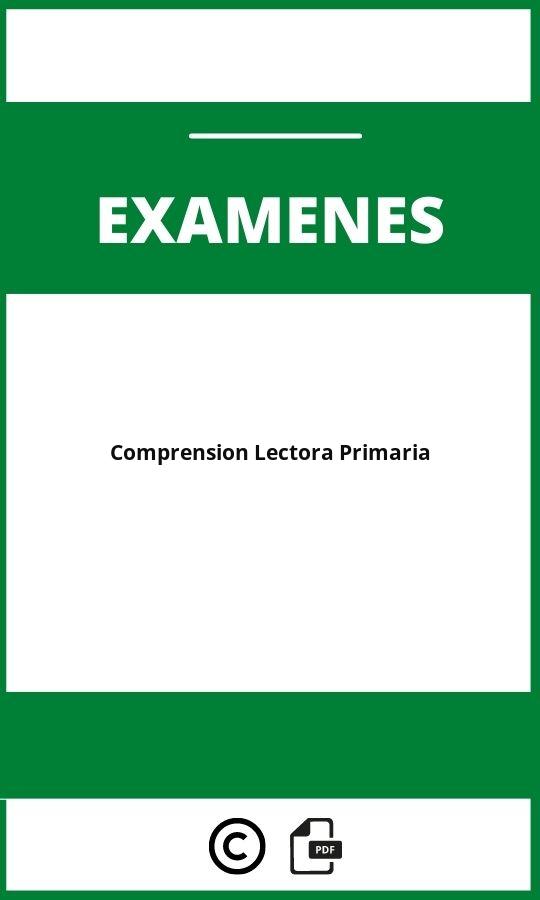 Examen De Comprension Lectora Primaria