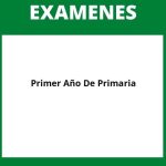 Examen De Primer Año De Primaria