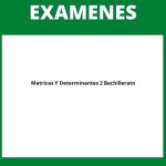 Examen Matrices Y Determinantes 2O Bachillerato Pdf