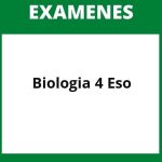 Examenes Biologia 4 Eso Resueltos Pdf